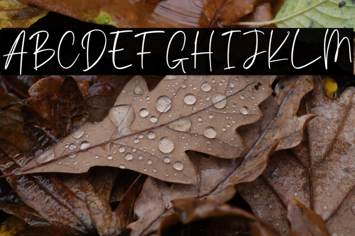 Alisking Personal Use Example 3