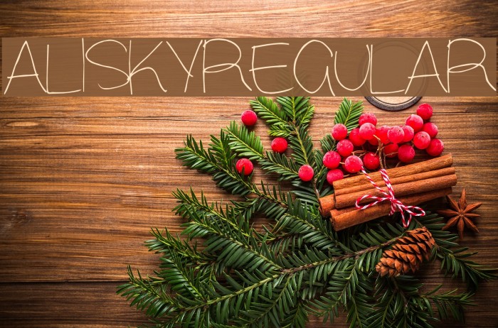 Alisky-Regular Example 3