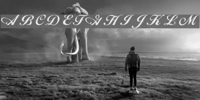 Alison Regular Font examples