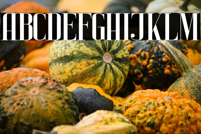 Alison finch Example 3