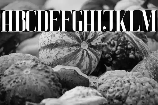 Alison finch Font examples