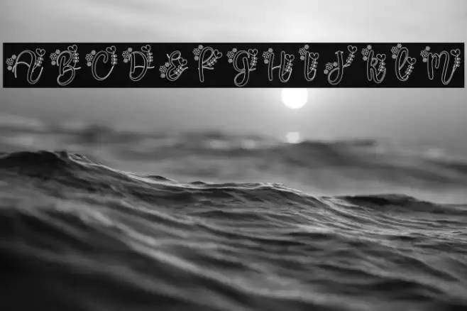 Alissa Monogram Font examples