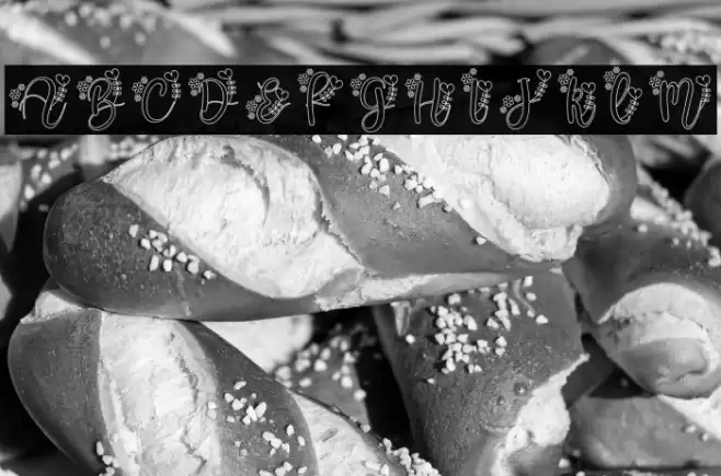 Alissa Monogram Font examples