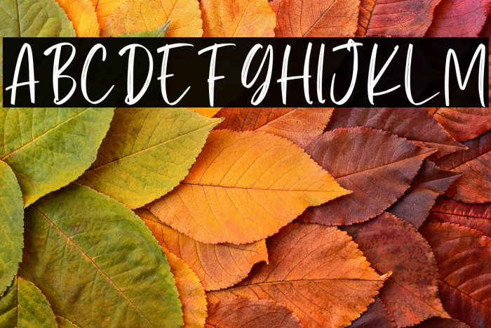 Alissian Personal Use Example 3