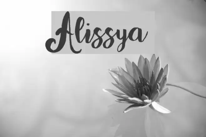 Alissya Font examples