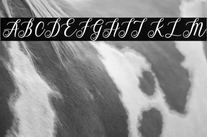 AlistaScript Font examples