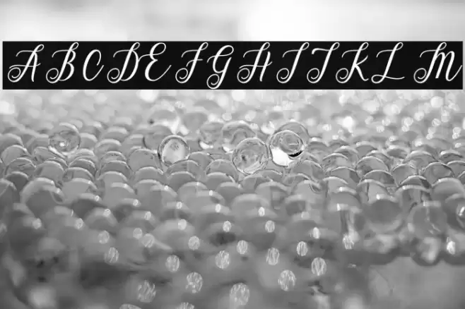 AlistaScript Font examples