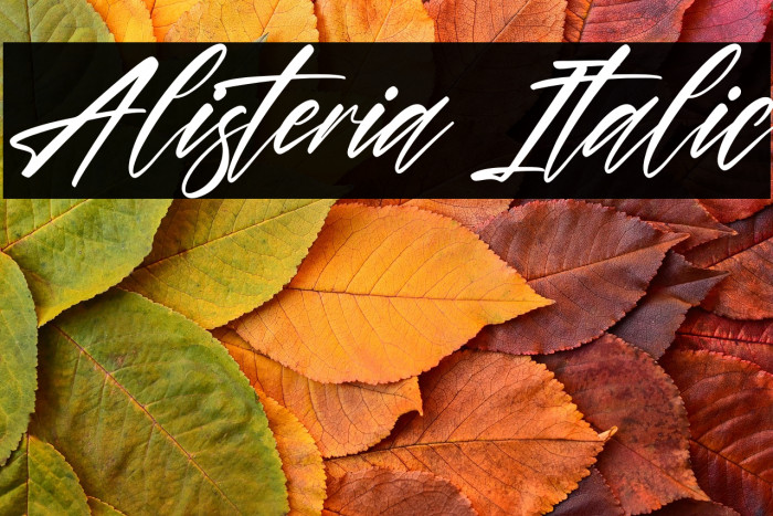 Alisteria Italic Example 1
