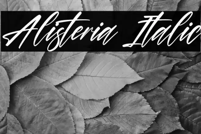 Alisteria Italic Font examples