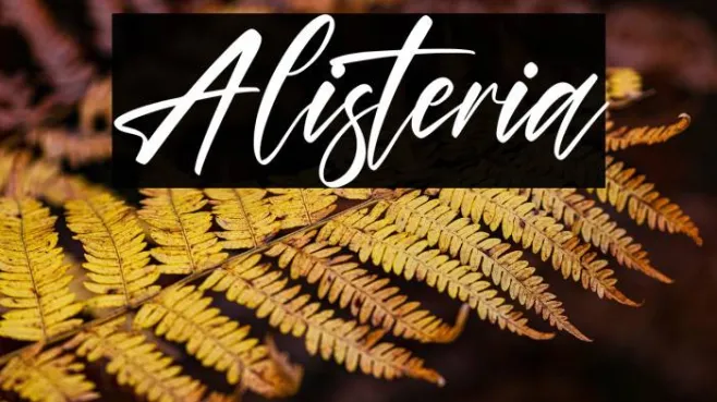 Alisteria Example 1
