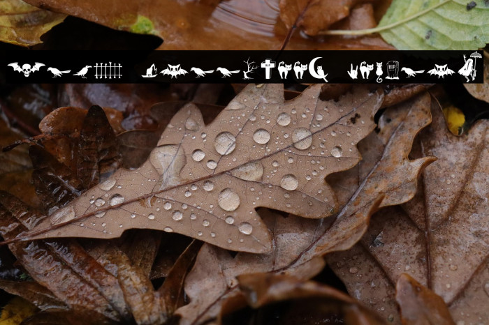 Alit Halloween Regular Example 3