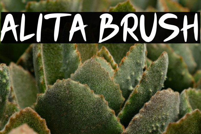 Alita Brush Example 3