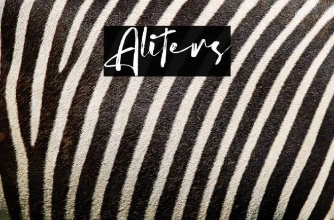 Aliters Example 1