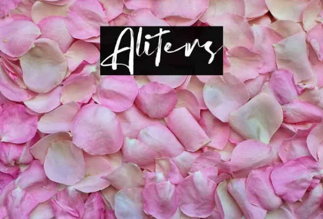 Aliters Example 2