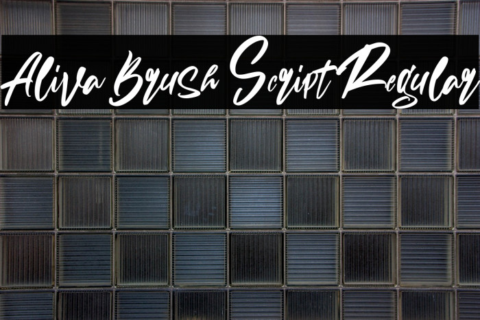Aliva Brush Script Regular Example 2