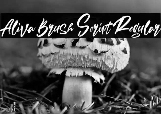 Aliva Brush Script Regular Font examples