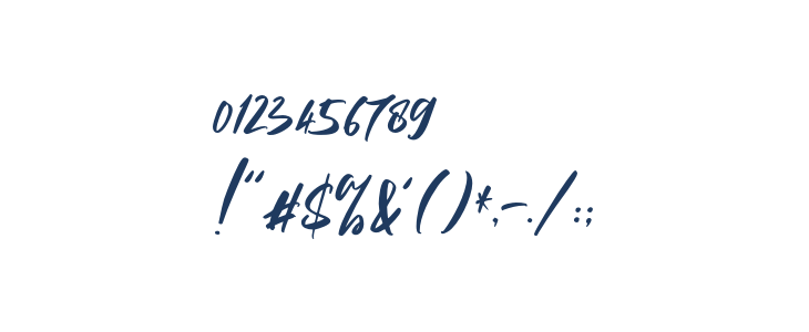 AlivaBrushScript-Regular Other Characters