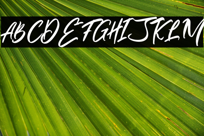 AlivaBrushScript-Regular Example 2