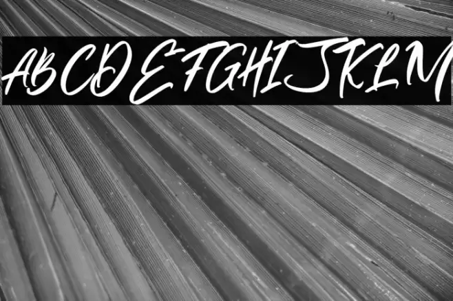 AlivaBrushScript-Regular Font examples