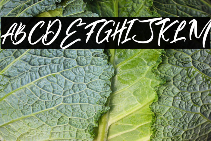 AlivaBrushScript-Regular Example 3