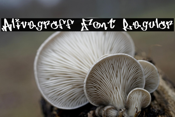 Alivegraff Font Regular Example 3