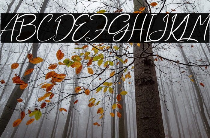 Aliya Ramsey Example 2