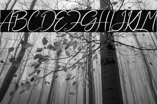 Aliya Ramsey Font examples