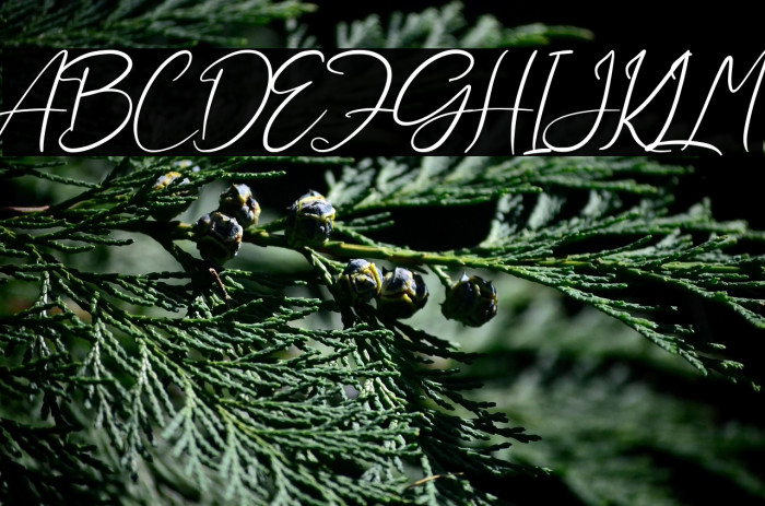 Aliya Ramsey Example 3