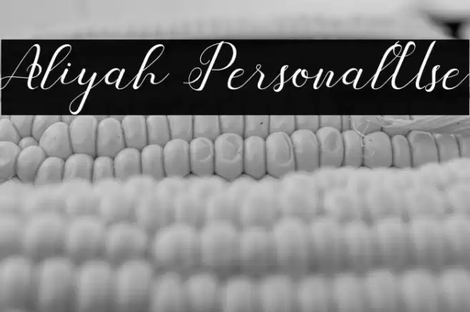 Aliyah PersonalUse Font examples