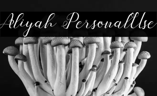 Aliyah PersonalUse Font examples