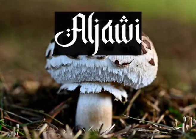 Aljawi Example 3