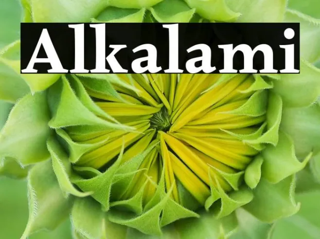 Alkalami Example 3