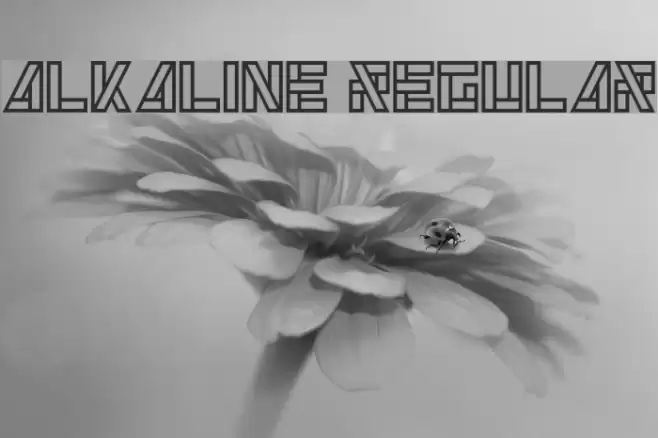 Alkaline Regular Font examples