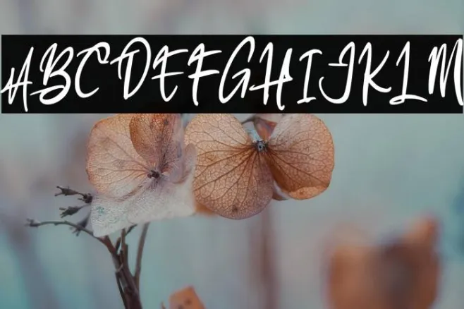 AlkatrosFREE Example 1