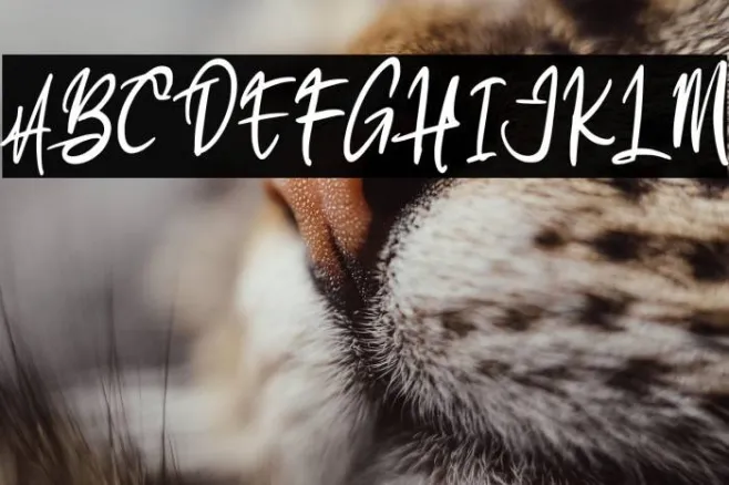 AlkatrosFREE Example 3