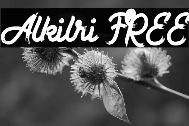 Alkilri FREE Font examples