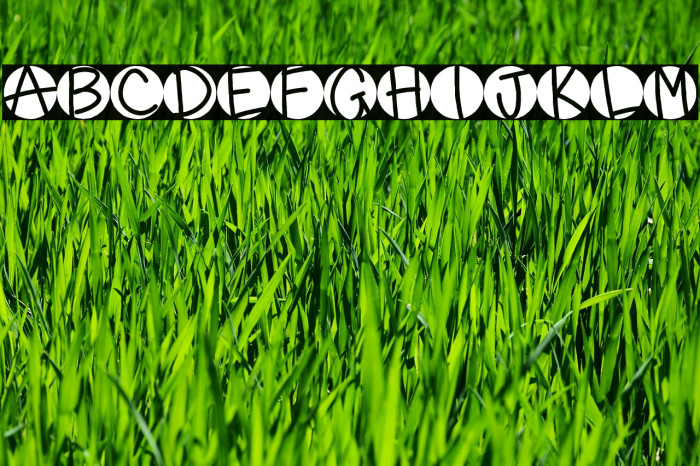 Alkine Regular Font examples