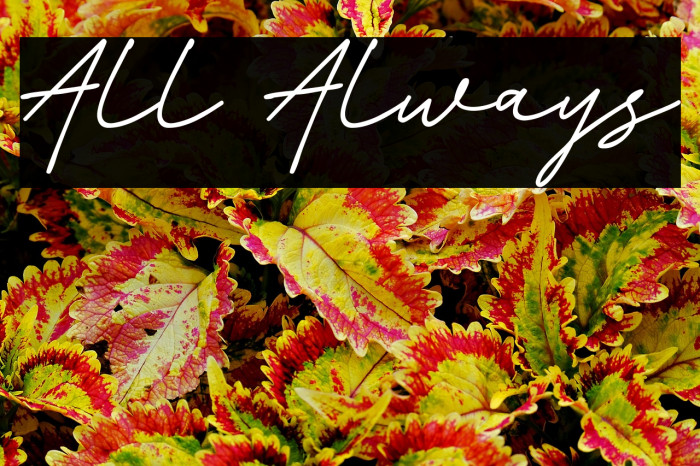 All Always Example 2