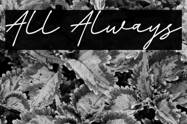 All Always Fonte examples