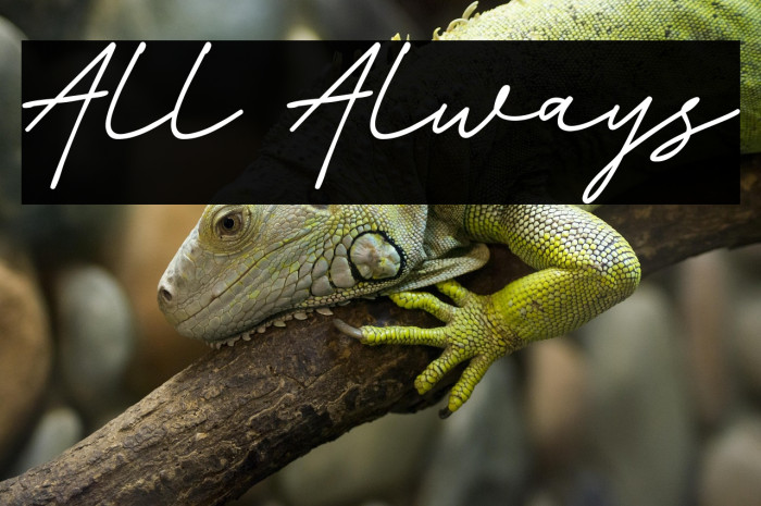 All Always Example 3