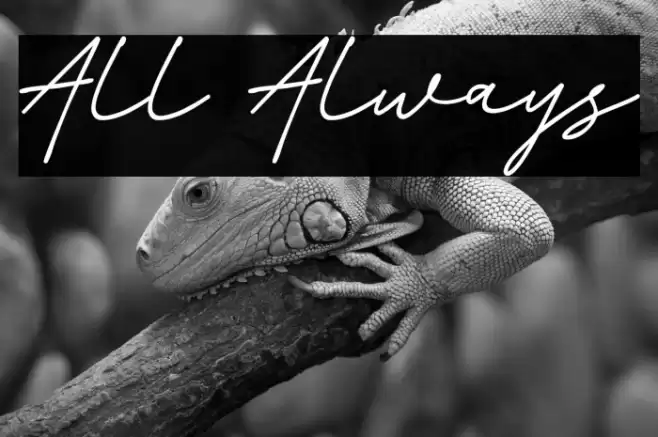 All Always Fonte examples