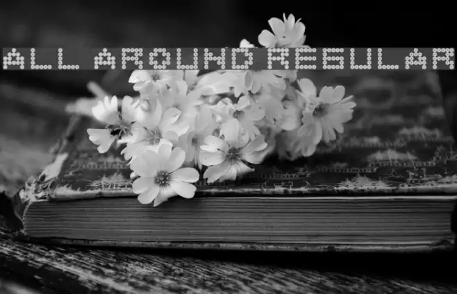 All Around Regular Font examples