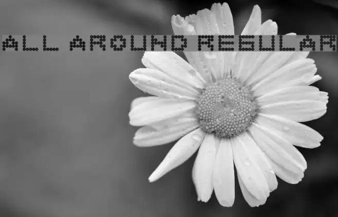 All Around Regular Font examples