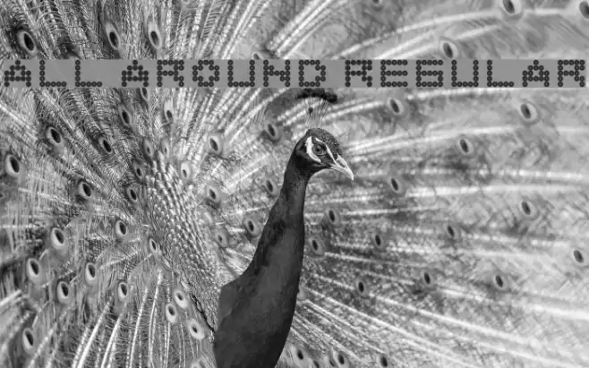 All Around Regular Font examples