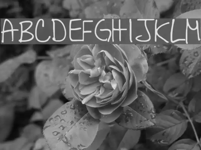 All Caps Fuentes examples