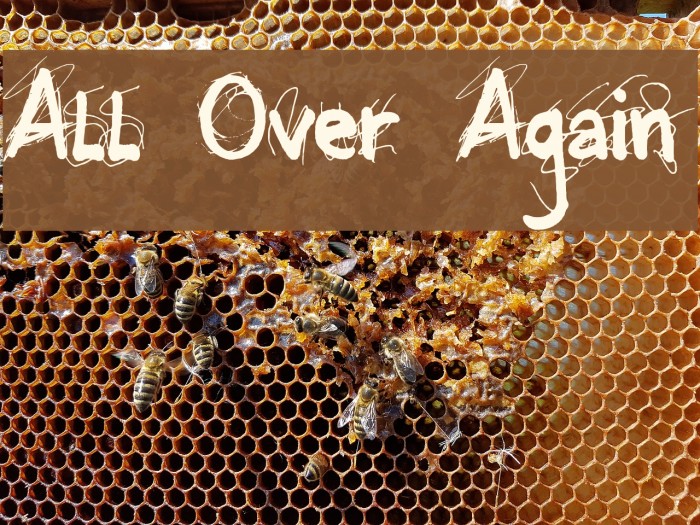 All Over Again Example 3