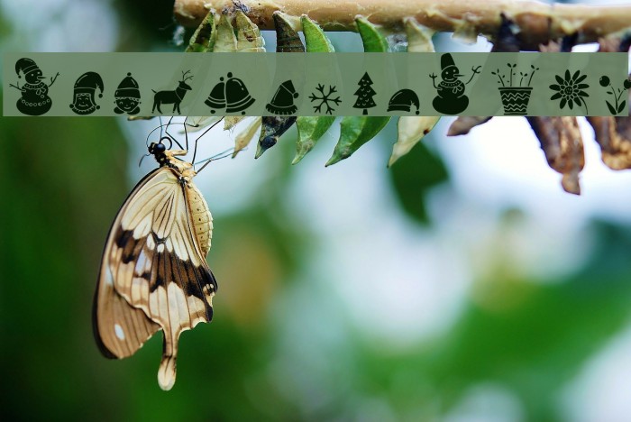 All Season Ornaments Example 1