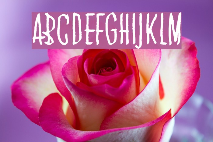 All Seeing Eye Font examples