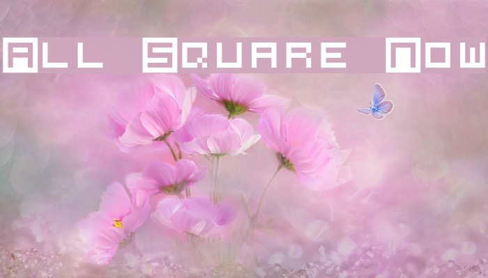 All Square Now Font examples