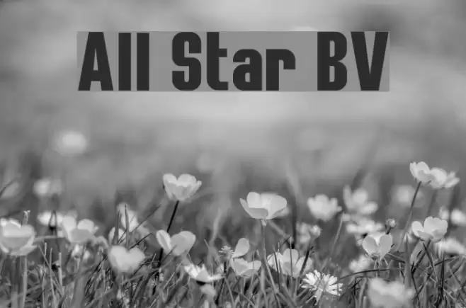 All Star BV Font examples